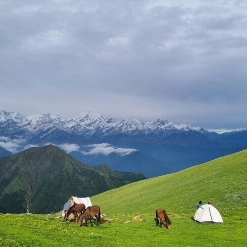GAUMUKH TAPOVAN TREK