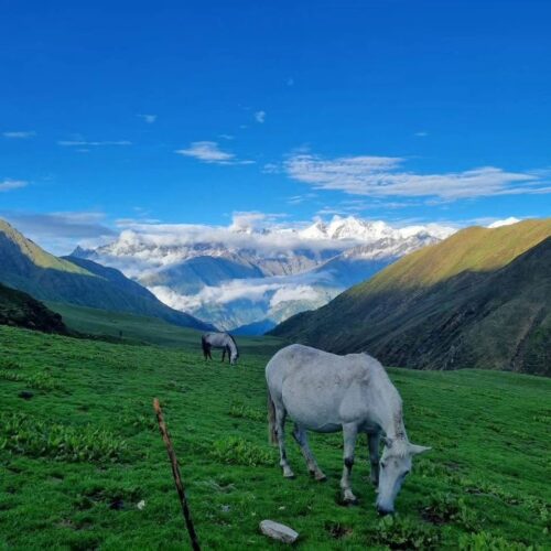 Dodital Trek